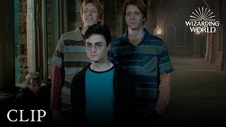 Fred and George Hatch a Plan  Harry Potter and the Order of the Phoenix [upl. by Ibrad]