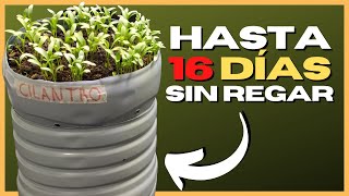 🌱 MACETA con AUTORRIEGO con BOTELLAS de PLÁSTICO RECICLADAS 💧 [upl. by Rennat]