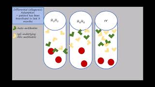 Adsorption Animation Updated Source [upl. by Clarita]