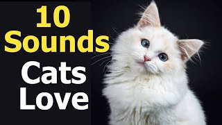 10 Sounds Cats Love To Hear The Most [upl. by Harewood]