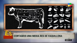 ¡Masterclass de cortes de carne para cuando vayas a la carnicería 🐄 [upl. by Masha117]