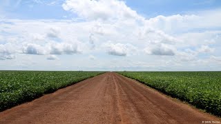 A produção de soja na Amazônia [upl. by Eibrab]