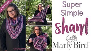 BEGINNER Crochet Super Simple Shawl [upl. by Anaujait]