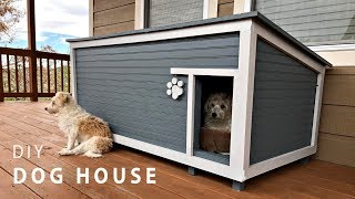 DIY Insulated Dog House Build [upl. by Sigismundo259]