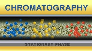 Chromatography Animation IQOGCSIC [upl. by Anyal]