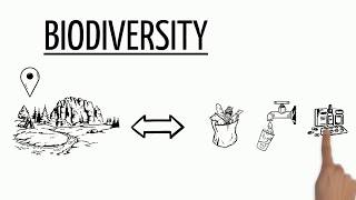 Biodiversity Explained [upl. by Civ469]