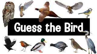 Guess the Bird  30 British Bird Calls [upl. by Nauqat]