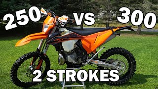 250 vs 300 2 Stroke  Why I Chose the 250 [upl. by Scriven]