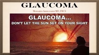 Glaucoma Anatomy [upl. by Lisk]