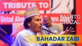 Bahadar Zaib  Pashto Song Pashto Folklore  بهادر ذیب [upl. by Ailugram]