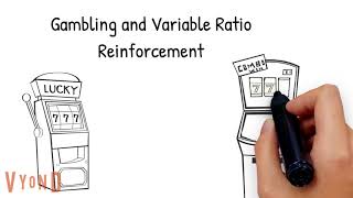 Operant Conditioning Schedule of Reinforcement Explained [upl. by Adnic363]