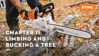 Chapter 11 Limbing and Bucking a Tree  STIHL Tutorial [upl. by Lipski255]