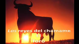 Chamame el toro [upl. by Howlan695]