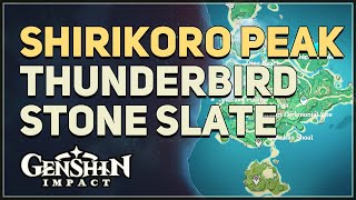 Shirikoro Peak Thunderbird Stone Slate Puzzles Genshin Impact [upl. by Nahshun236]