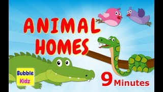 Learn About Different Animal Names And Homes  Animal Names And Homes For Kids [upl. by Trebloc]