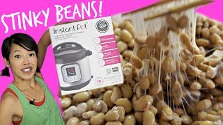 DIY Instant Pot Natto  Homemade Fermented Stinky Soybeans [upl. by Milak420]