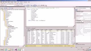 How to Write Stored Procedure in SQL Server for Beginners [upl. by Alyose]