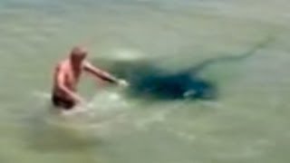 STINGRAY ATTACKS MAN  IS THIS REAL [upl. by Aiden337]