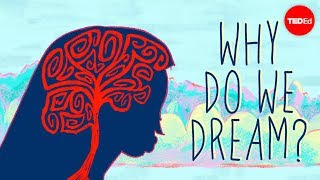 Why do we dream  Amy Adkins [upl. by Curkell]