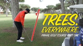 TREES TREES EVERYWHERE  Peter Finch vs Rick Shiels  Pinhal Golf Course Part 1 [upl. by Ramaj]