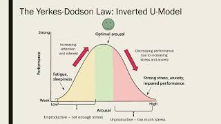 Arousal and task performance [upl. by Warram]