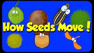 Seed Song  How Seeds Move  Seed Dispersal [upl. by Enyrehtak]