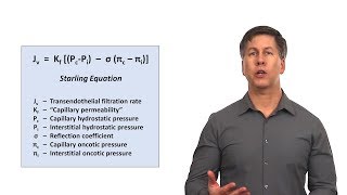 How To Say Periorbital [upl. by Fitzger104]