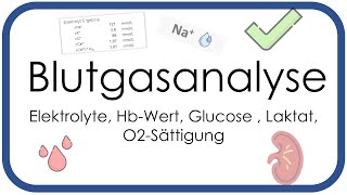 Blutgasanalyse  Elektrolyte HbWert Glucose  Laktat O2Sättigung  Teil 3 [upl. by Dulcie247]