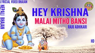 Hey Krishna Malai Mitho Bamsi Lyrical Video  Raju Adhikari Nepali Bhajan  Srd Bhakti Bhajan [upl. by Anaiviv]