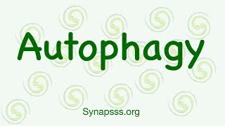 Autophagy definition mechanisms Macroautophagy [upl. by Netsyrc]