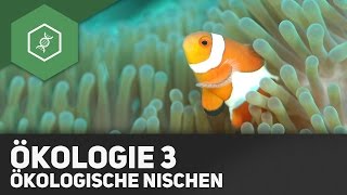 Umweltfaktoren und Ökologische Nischen  Ökologie 3 [upl. by Inek356]