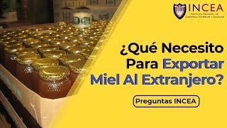 ¿Qué Necesito Para Exportar Miel Al Extranjero  Preguntas INCEA [upl. by Dleifxam]