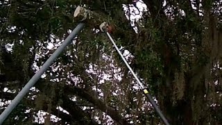 Cut Tree Branches Over House Without Hitting the Roof [upl. by Aitercal]