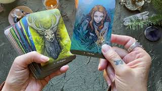 quotWitch Sister Tarotquot  Deck Walkthrough [upl. by Kokaras510]