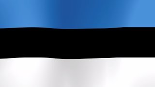 Estonia National Anthem Instrumental [upl. by Eannaj555]