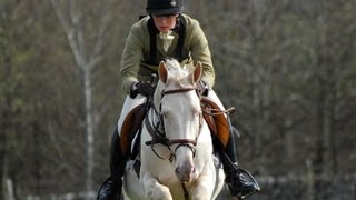 Akhal Teke  Kambarbay  Cross Country [upl. by Alimrahs]