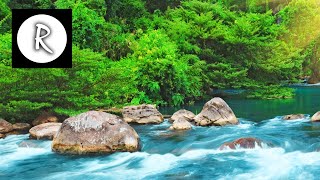 Relaxing Nature Sounds  Water Sound 24 Hours Gentle River amp Stream [upl. by Tica]