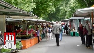 Mein HamburgGuide 7 Die schönsten WOCHENMÄRKTE in Hamburgs Zentrum … 🍎🥬🍇🌶🥕 [upl. by Thebazile662]