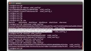 Using File HashesChecksums to Compare Files on Linux [upl. by Celestyn128]