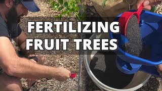 How and When to Fertilize Fruit Trees  Back Yard Orchard [upl. by Htebirol854]