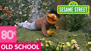 Sesame Street Learn about the Insects in Your Neighborhood [upl. by Lazor558]