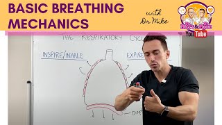 Basic Breathing Mechanics [upl. by Olivette]