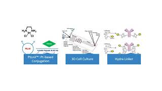 A Brief Introduction of Antibody Drug Conjugate  Creative Biolabs [upl. by Paulie996]