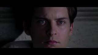 Tobey Maguire Leap of Faith  SpiderMan Spiderverse [upl. by Loram]