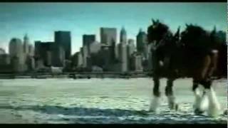 Budweiser 911 tribute commercial [upl. by Aicire]