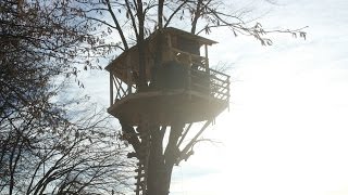 Building an Amazing Treehouse [upl. by Treva765]