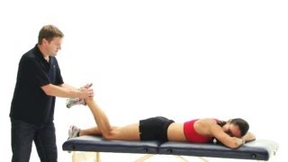 Isometric Hamstring Exercises [upl. by Omoj]