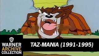 Open  TazMania  Warner Archive [upl. by Einej]