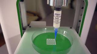 Bioprinting of Bone Scaffold [upl. by Moonier]