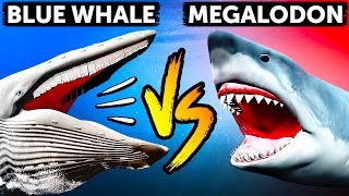 Megalodon vs Blue Whale Whos the Sea Giant [upl. by Sekyere]